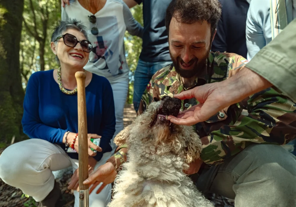 dog eating a truffle